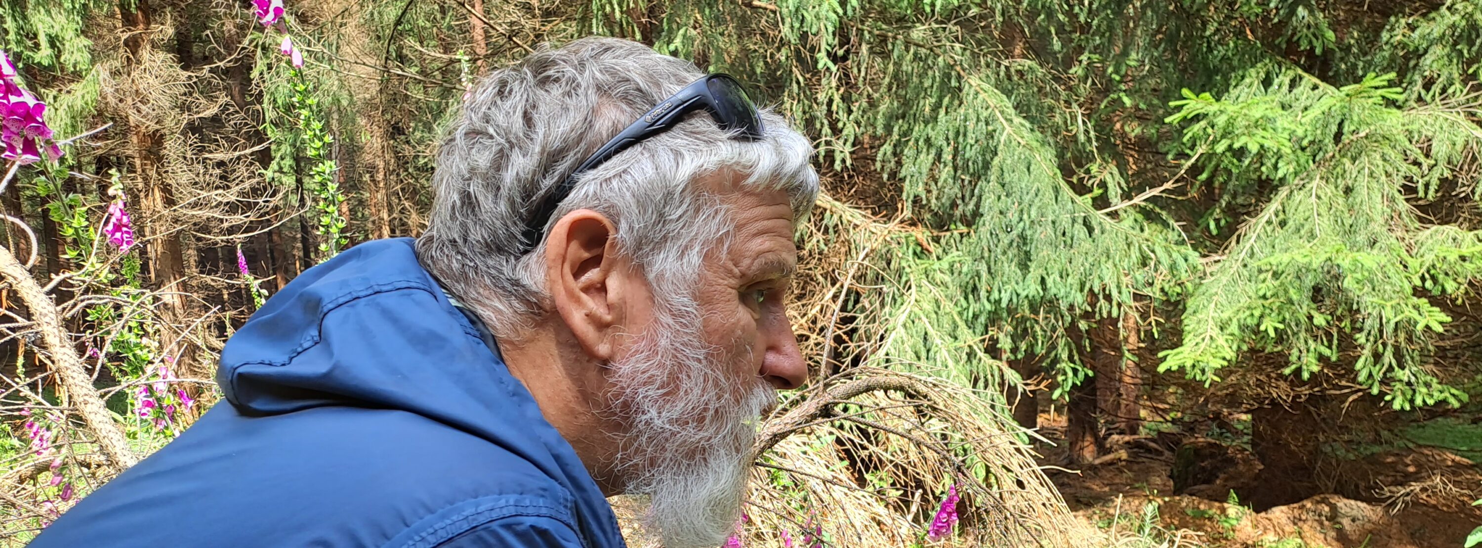 Falk Nützsche